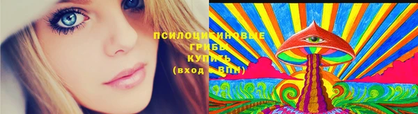 сатива Болотное