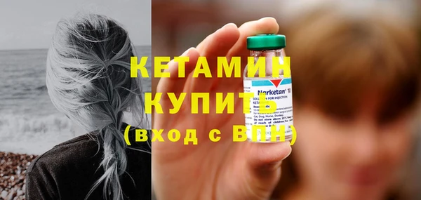 индика Няндома