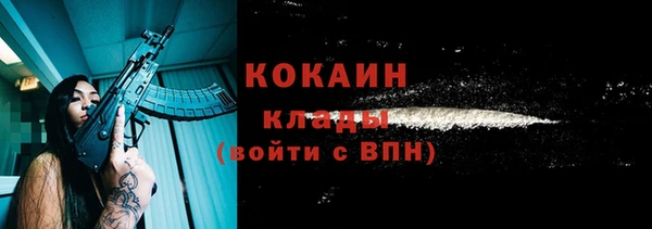 хмурый Абаза