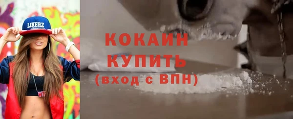 индика Няндома