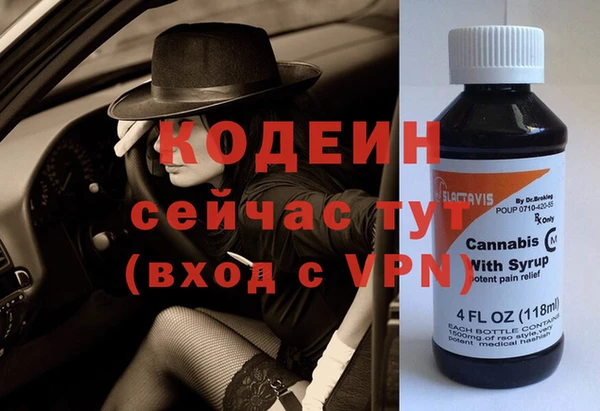 хмурый Абаза