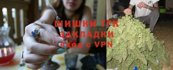 индика Няндома